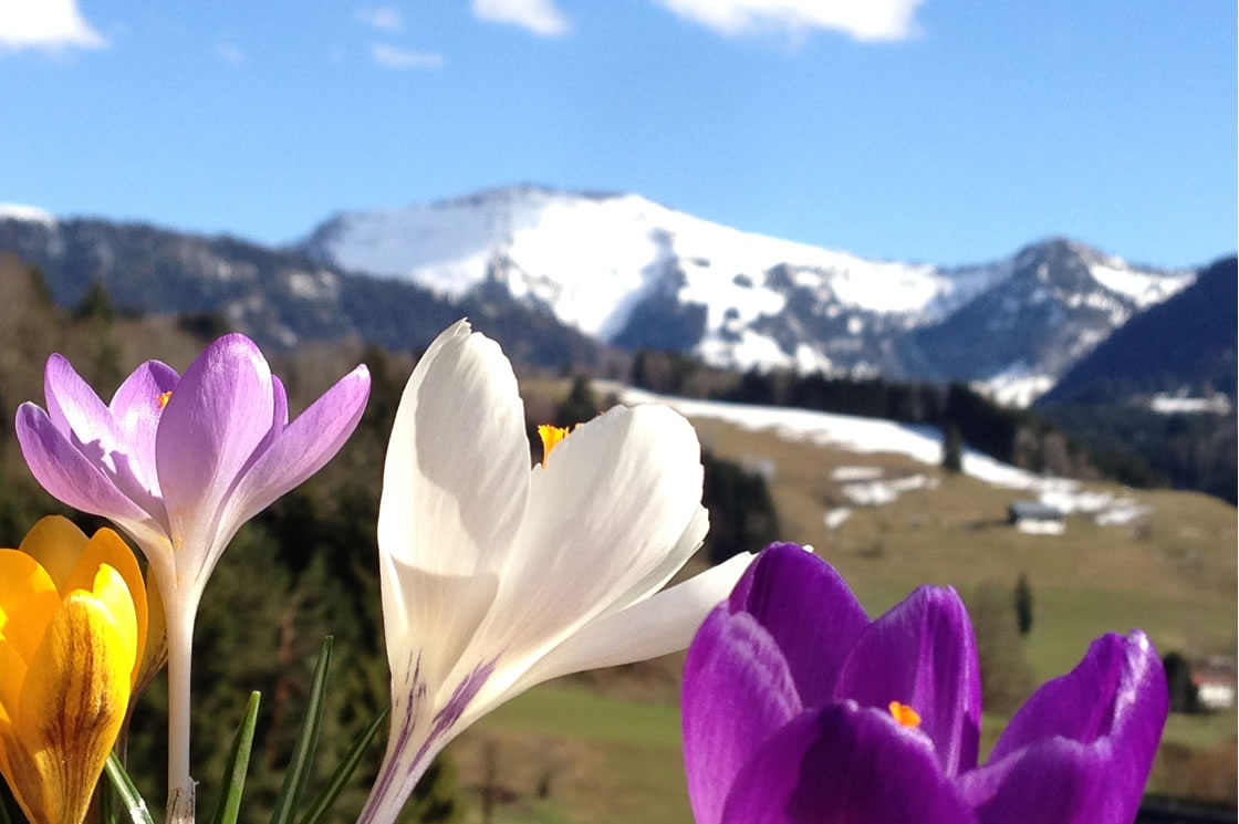 Oberstaufen Vacances de printemps à la montagne