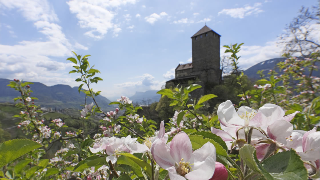 Südtiroler Schlösser besichtigen_Dorf Tirol