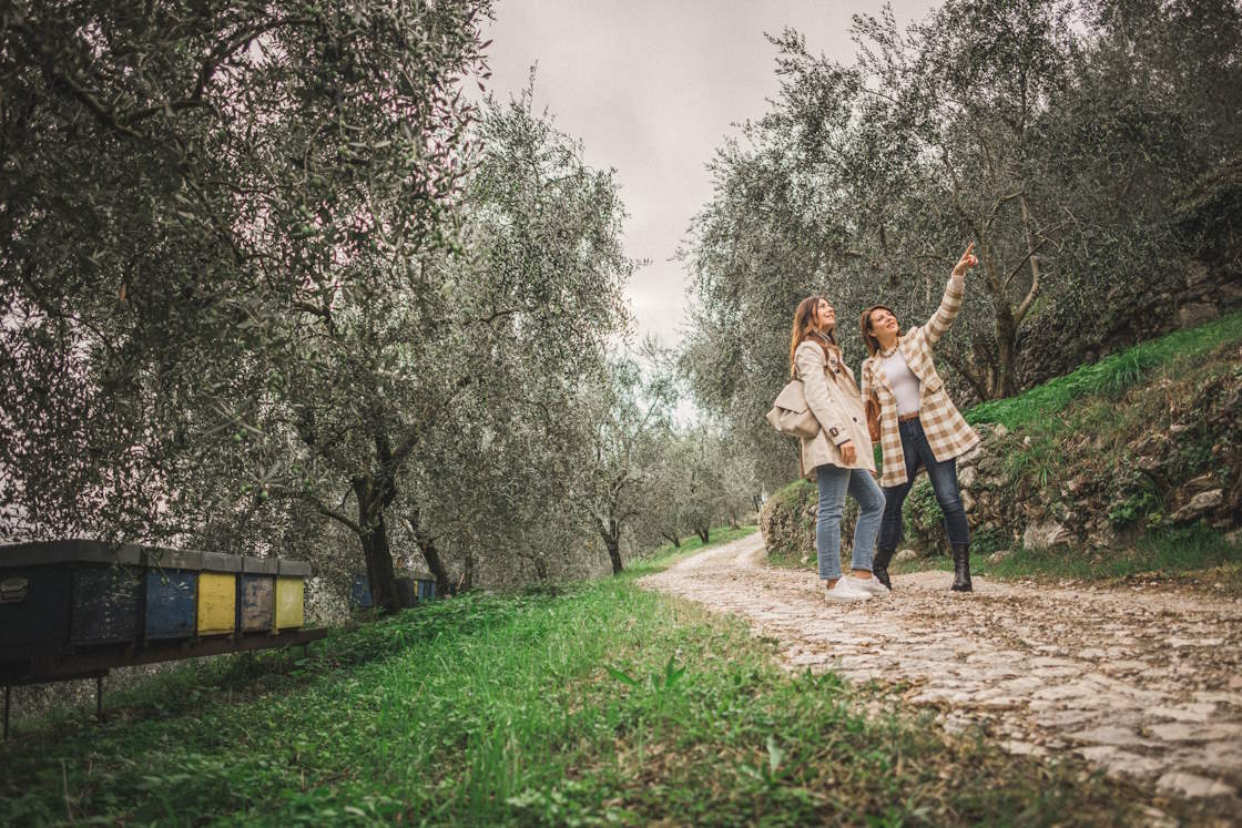 Raccolta delle olive sul lago di Garda, vacanza culinaria d'autunno