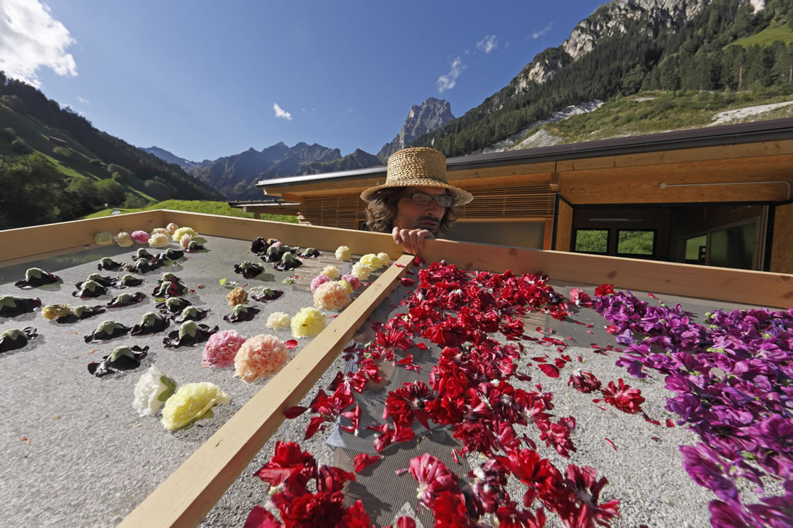 Jardins d'herbes aromatiques du Tyrol du Sud