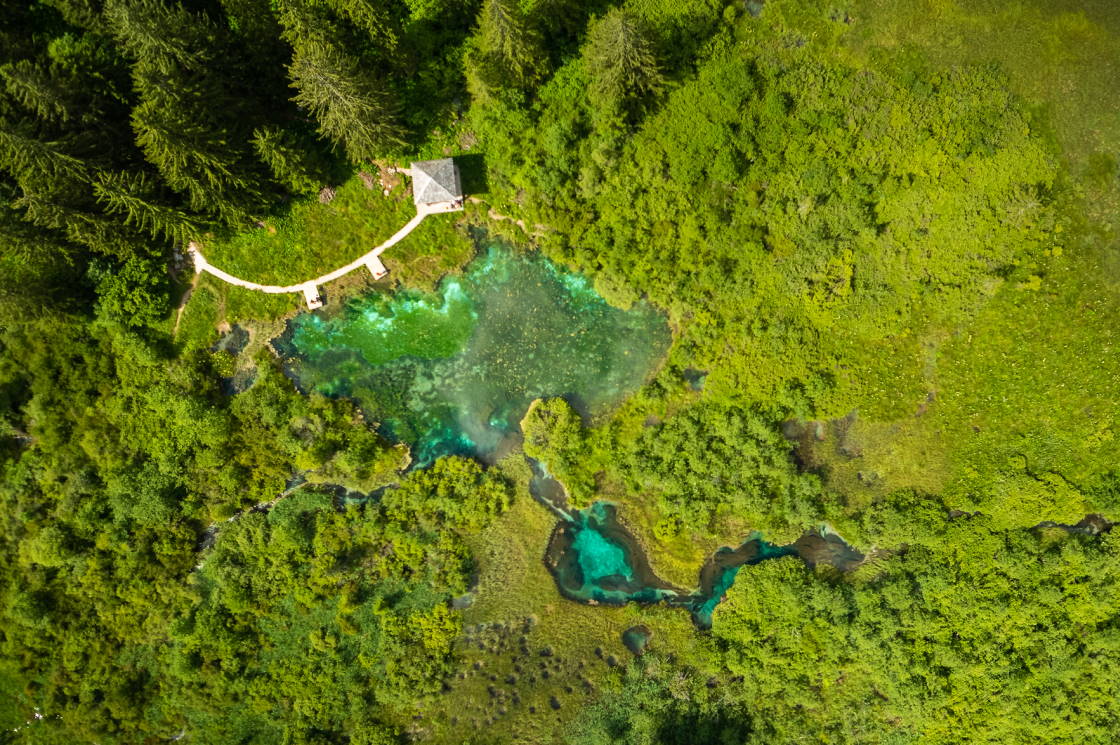 lakes zelenci kranjska gora