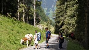 Vacanza escursionistica in Alto Adige, verso la Malga Prantacher
