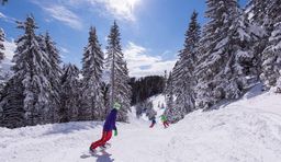 Divertimento invernale nel comprensorio sciistico di Golte, con lo snowboard