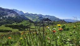 Wanderurlaub Liechtenstein, Blick vom Schönberg