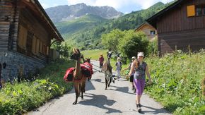 Vacanza avventura Alpi Liechtenstein