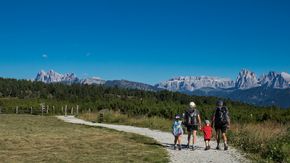 Hiking vacation South Tyrol circular hike with panoramic view