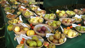 Bavaria's largest apple market
