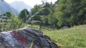 Vacances à pied dans le Tyrol du Sud, en route pour le Prantacher Alm
