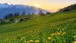 Fleurs Sentier de randonnée Gnalp Liechtenstein